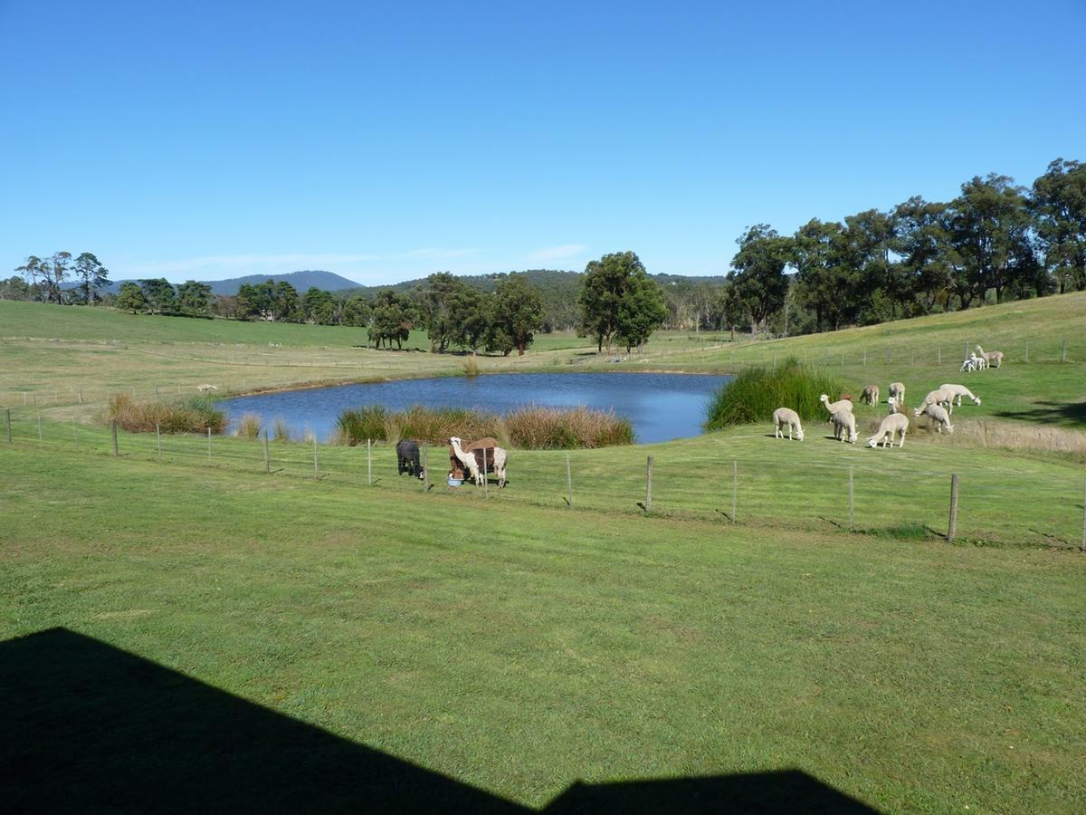 Farm stay Raynella Alpaca Farmstay Gruyere