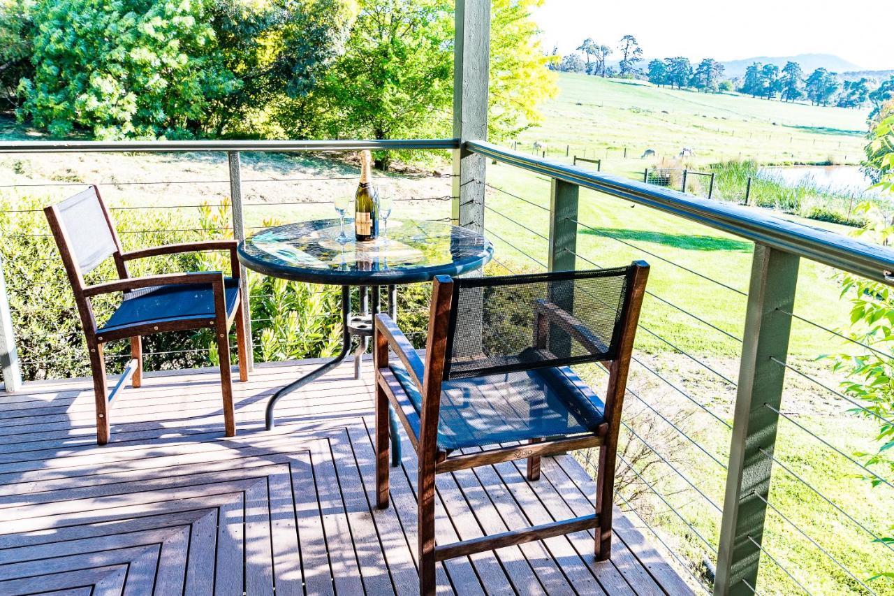 Raynella Alpaca Farm stay *